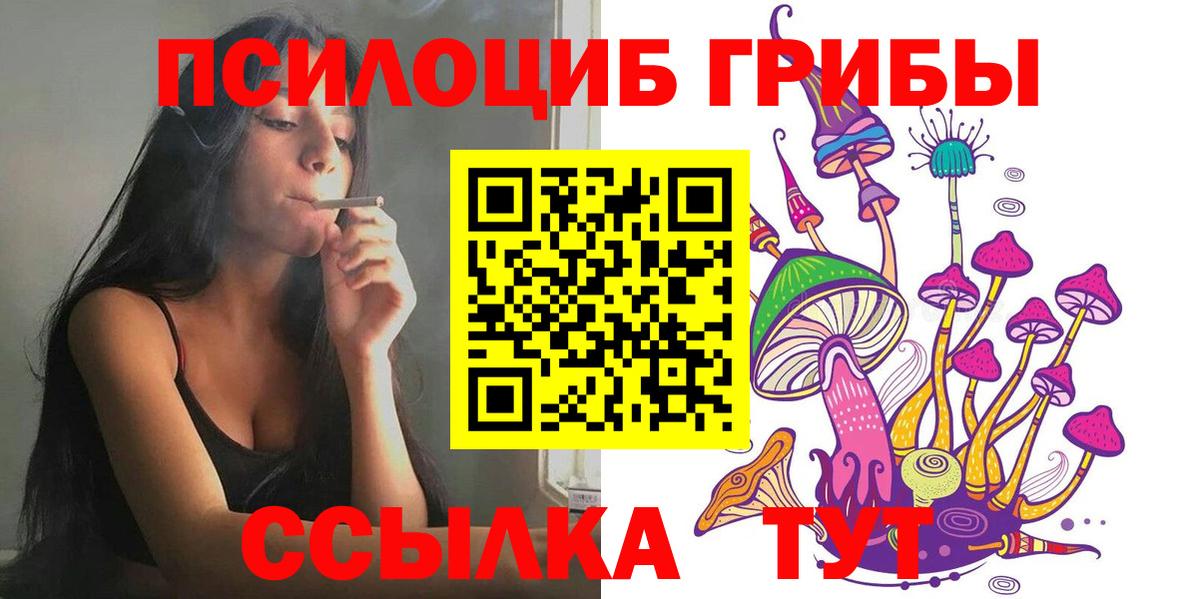 Артёмовский  Галлюциногенные грибы Psilocybe  Вход с VPN 